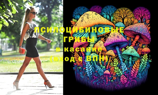 сатива Алзамай