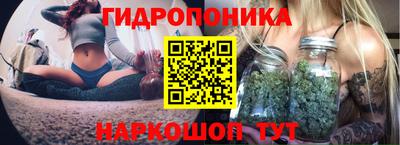 PSILOCYBIN Беслан