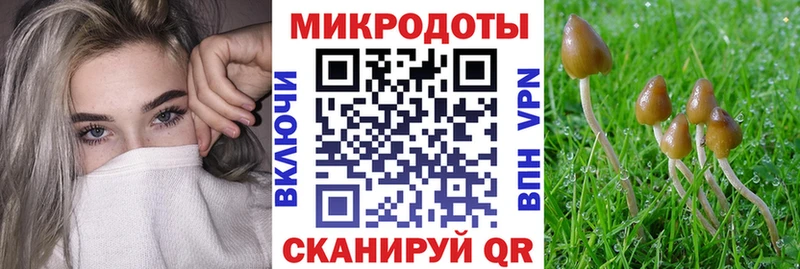 Псилоцибиновые грибы Magic Shrooms  купить  цена  Богданович 