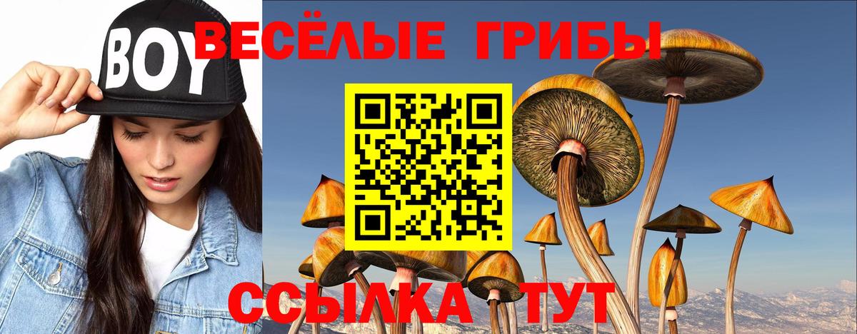 что такое   Галлюциногенные грибы мицелий  Вход с VPN  Богданович 